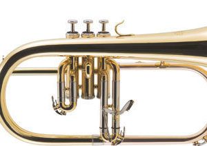 FLISCORNO J. MICHAEL EN SIB FG500