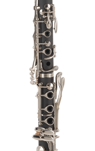 CLARINETE J. MICHAEL CL360