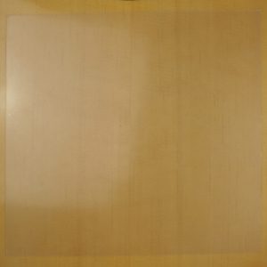 GOLPEADOR TRANSPARENTE ADHESIVO GRANDE CUADRADO GTAG