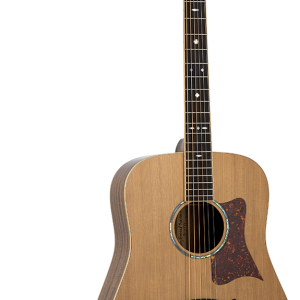 GUITARRA ACÚSTICA TANGLEWOOD TW15R SERIE SUNDANCE PERFORMANCE PRO