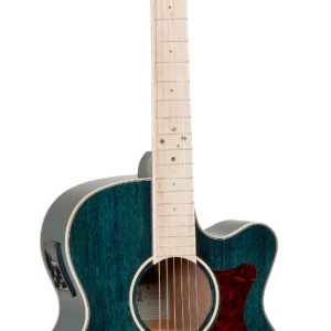 GUITARRA ACÚSTICA TANGLEWOOD TW4BLA SERIE WINTERLEAF BLONDE